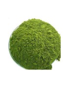AyurNutri Kuppaimeni Churnam (Indian Nettle Leaves Powder), 100g
